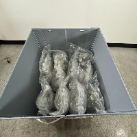 Lot Of Sanisure 20L Medical Fluid Transfer Containers image 0